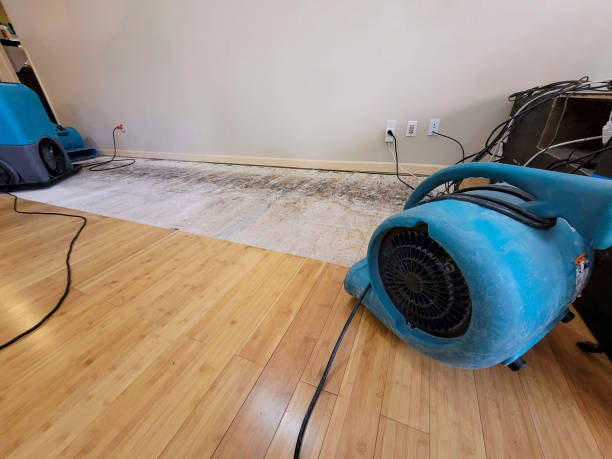 Professional Burst Pipe Water Damage technician working in Mattawamkeag, ME